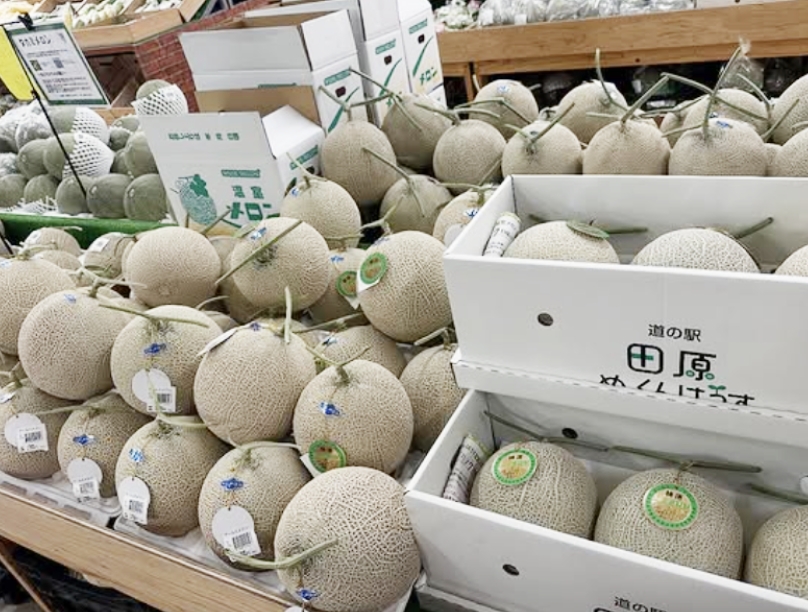 店舗情報